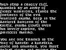 Karateka (1986) - screenshot #3