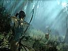 Tomb Raider - screenshot #17