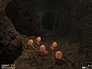 The Elder Scrolls 3: Morrowind - Collector's Edition - screenshot #16