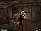 The Elder Scrolls 3: Morrowind - Collector's Edition - screenshot #4