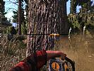 Lumberjack's Dynasty - screenshot #4