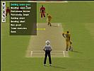 Cricket Wold Cup: England 99 - screenshot #30