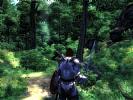 The Elder Scrolls 4: Oblivion - screenshot #11