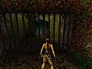 Tomb Raider 3: The Lost Artifact - screenshot #7