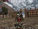 Knight Online - screenshot #3