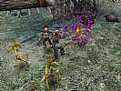 Dungeon Siege II - screenshot #15
