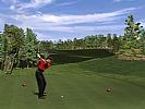 Tiger Woods PGA Tour 2001 - screenshot #4
