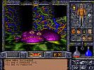 Ultima Underworld II: Labyrinth of Worlds - screenshot #13