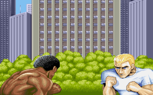 Street Fighter II - screenshot 22