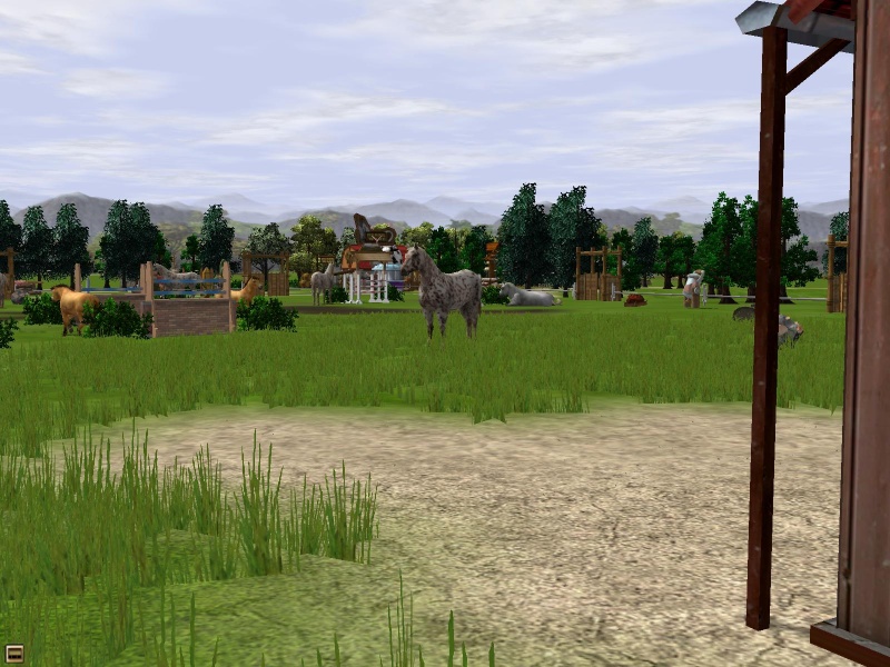 Wildlife Park 2: Horses - screenshot 20
