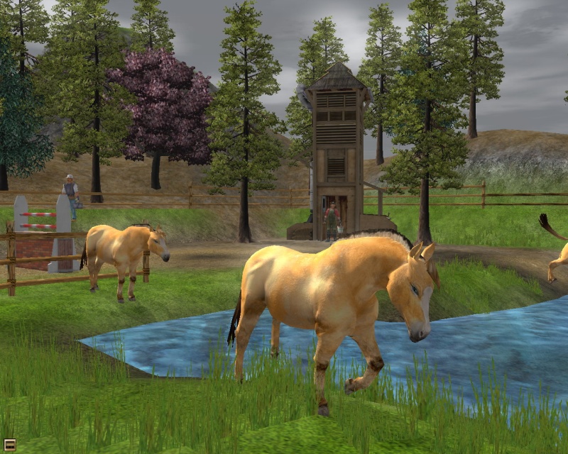 Wildlife Park 2: Horses - screenshot 12