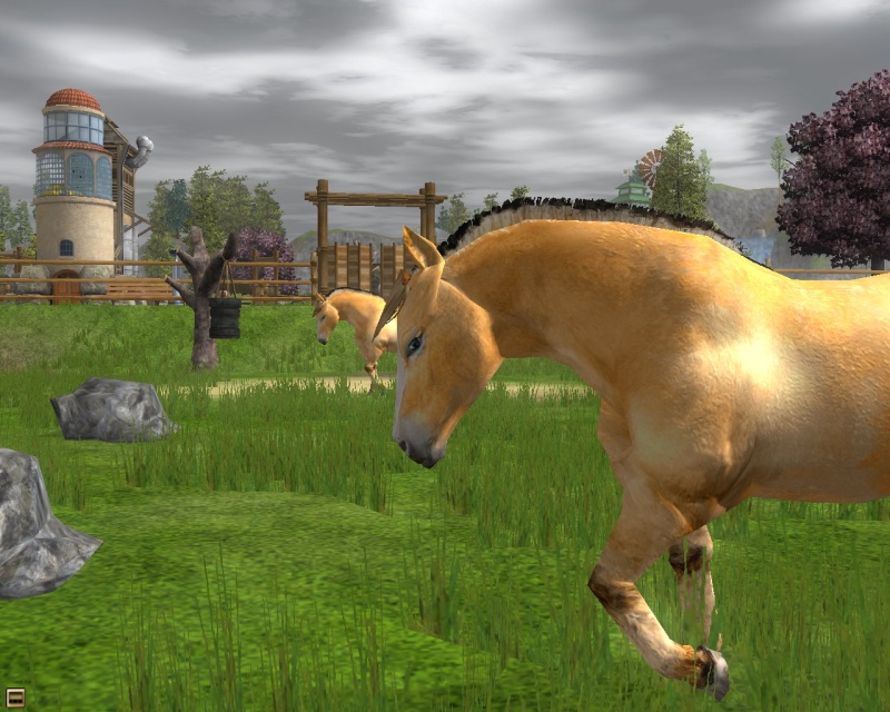 Wildlife Park 2: Horses - screenshot 11