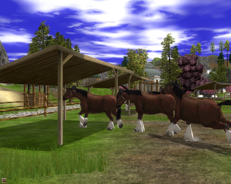 Wildlife Park 2: Horses - screenshot 10