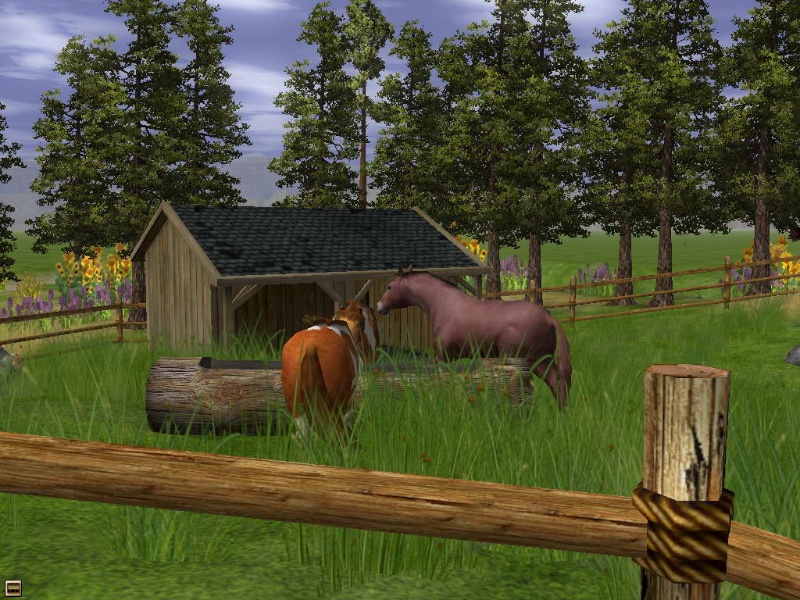 Wildlife Park 2: Horses - screenshot 6