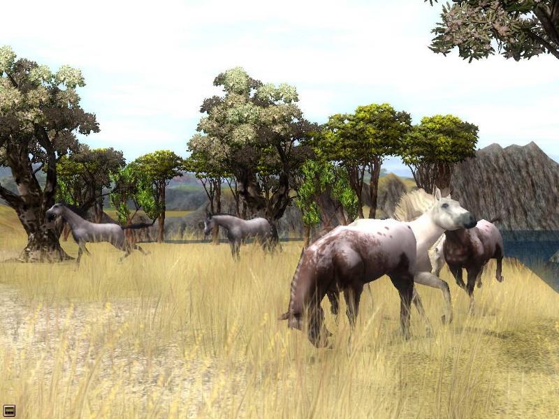Wildlife Park 2: Horses - screenshot 2