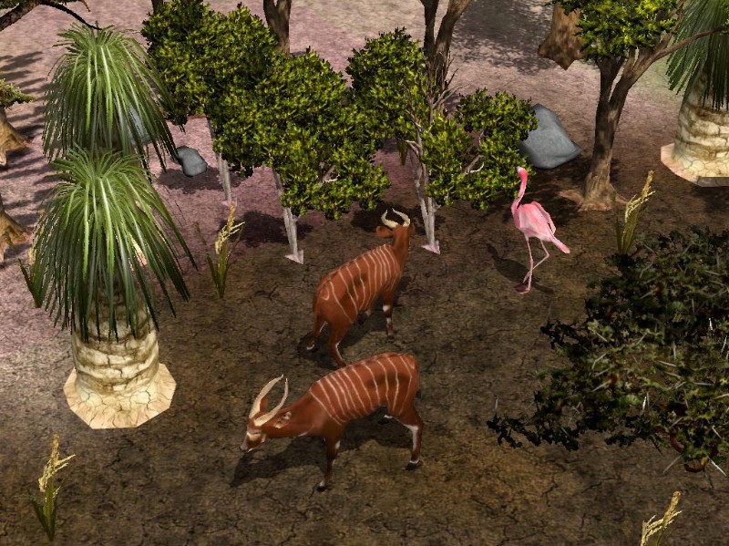 Wildlife Zoo: Deluxe Edition - screenshot 12