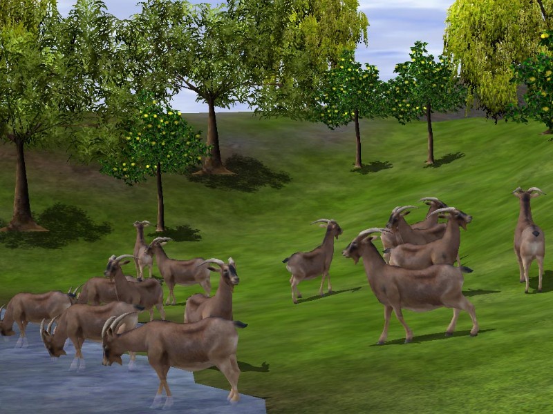 Wildlife Zoo: Deluxe Edition - screenshot 10