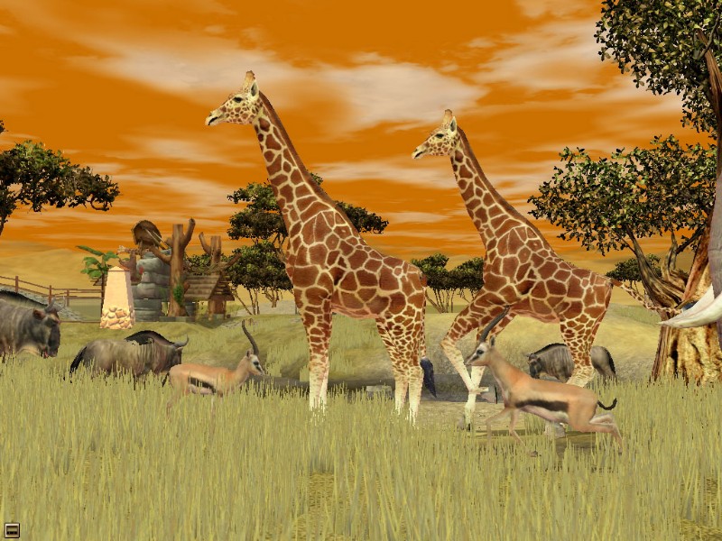 Wildlife Zoo: Deluxe Edition - screenshot 2