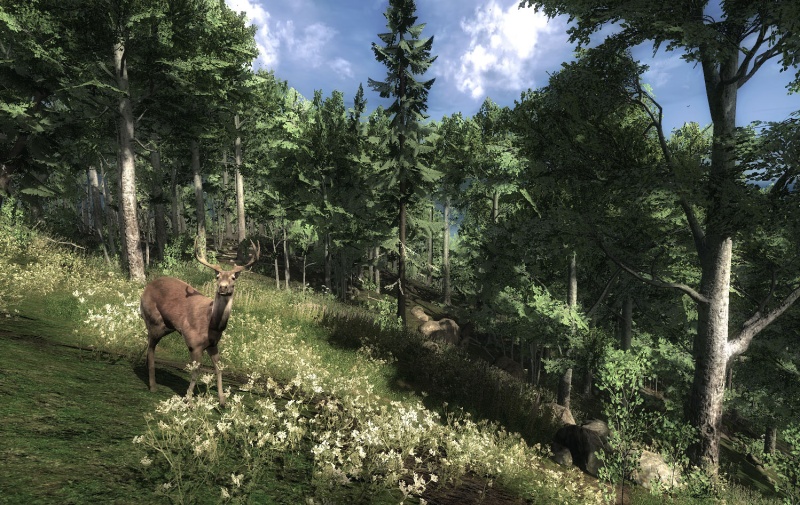 The Hunter - screenshot 7