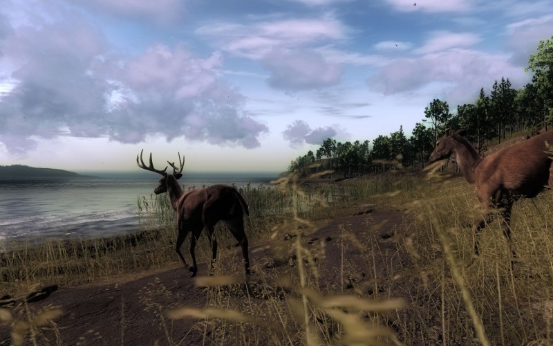 The Hunter - screenshot 3