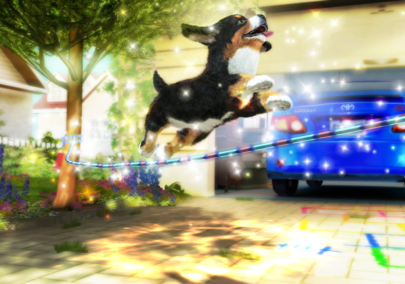 Petz Sports: Dog Playground - screenshot 3
