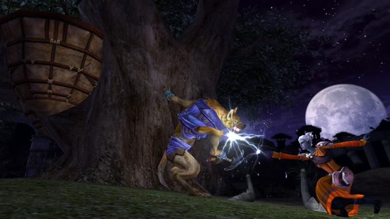 Dungeons & Dragons Online: Eberron Unlimited - screenshot 14