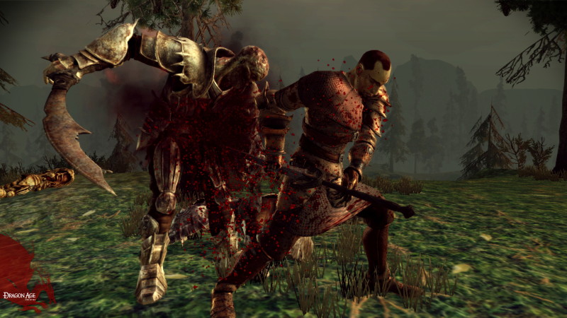 Dragon Age: Origins - screenshot 9