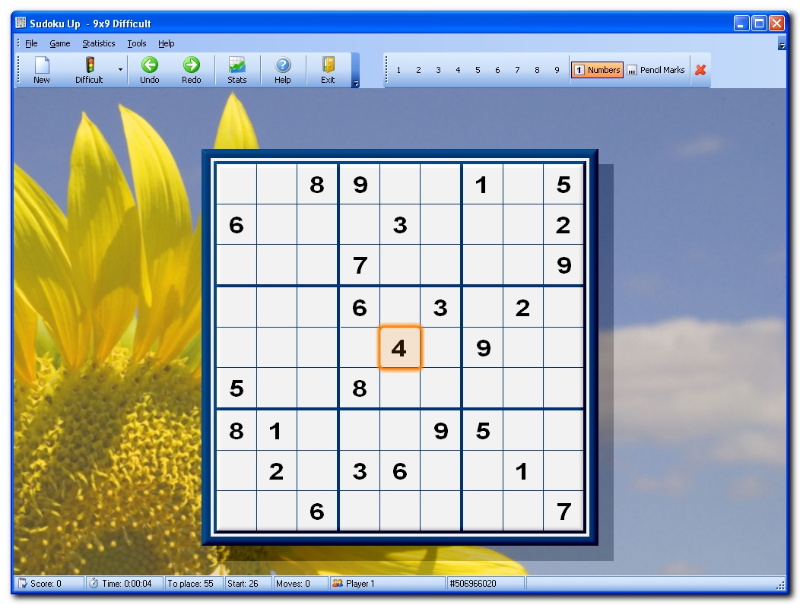 Sudoku Up 2007 - screenshot 1