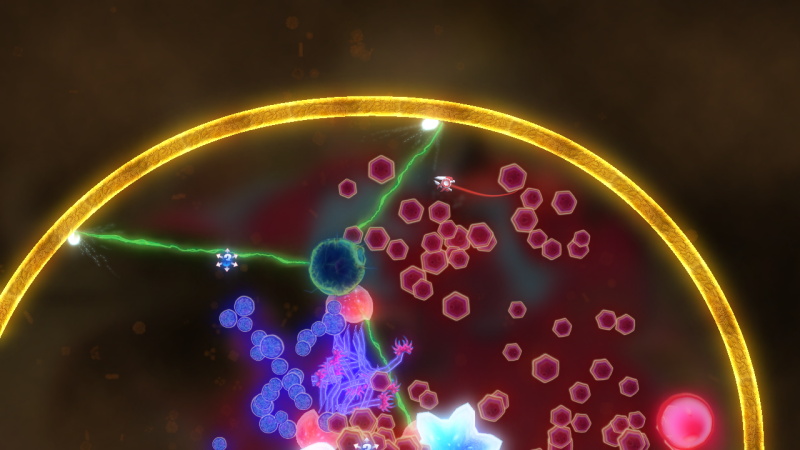 Biology Battle - screenshot 4