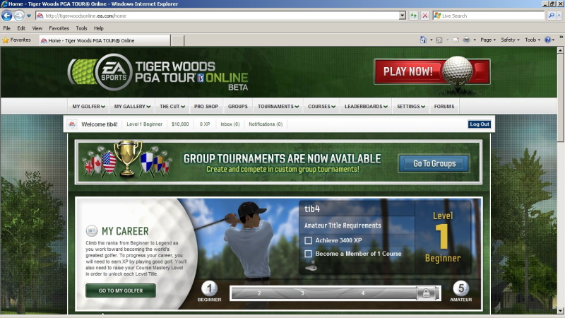 Tiger Woods PGA Tour Online - screenshot 11