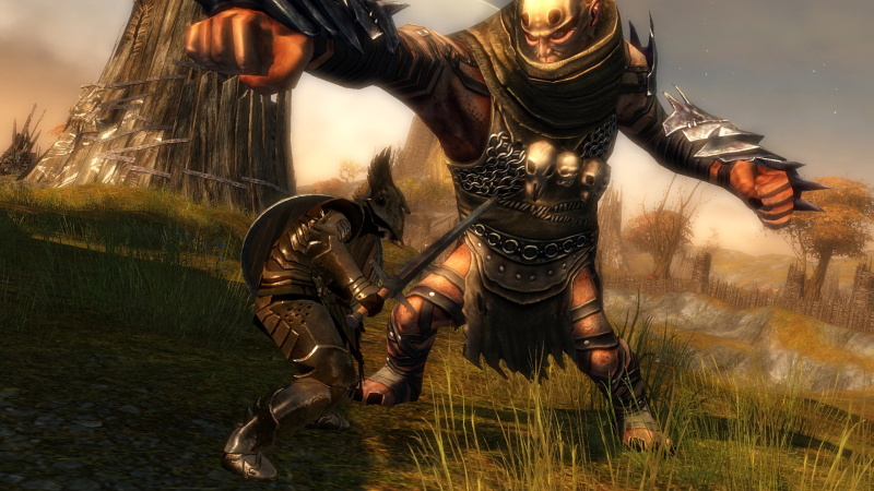 Guild Wars 2 - screenshot 23