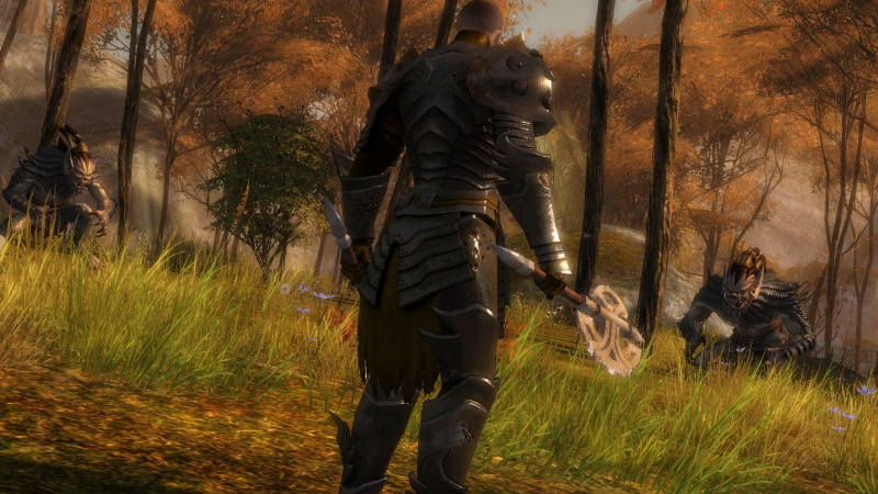 Guild Wars 2 - screenshot 22