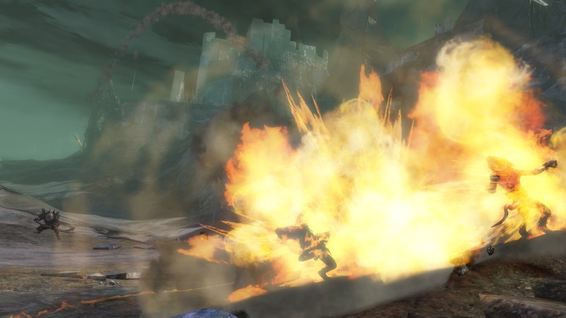 Guild Wars 2 - screenshot 19