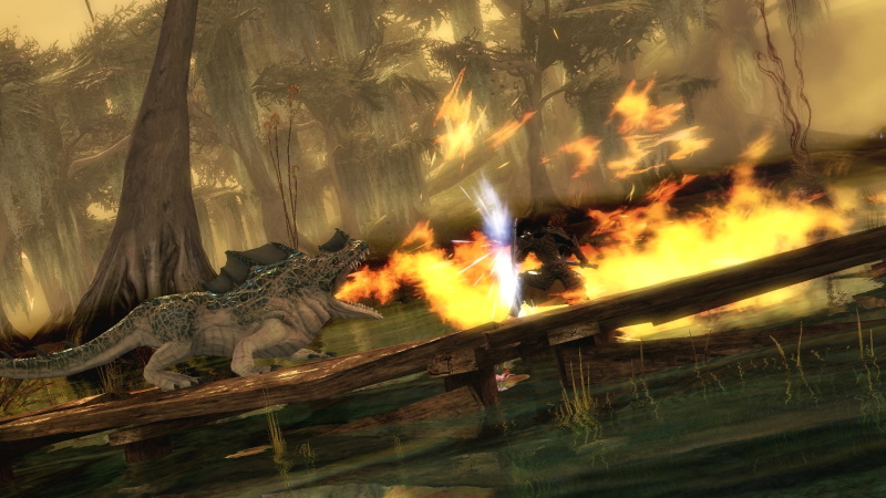 Guild Wars 2 - screenshot 18