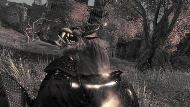 Guild Wars 2 - screenshot 15