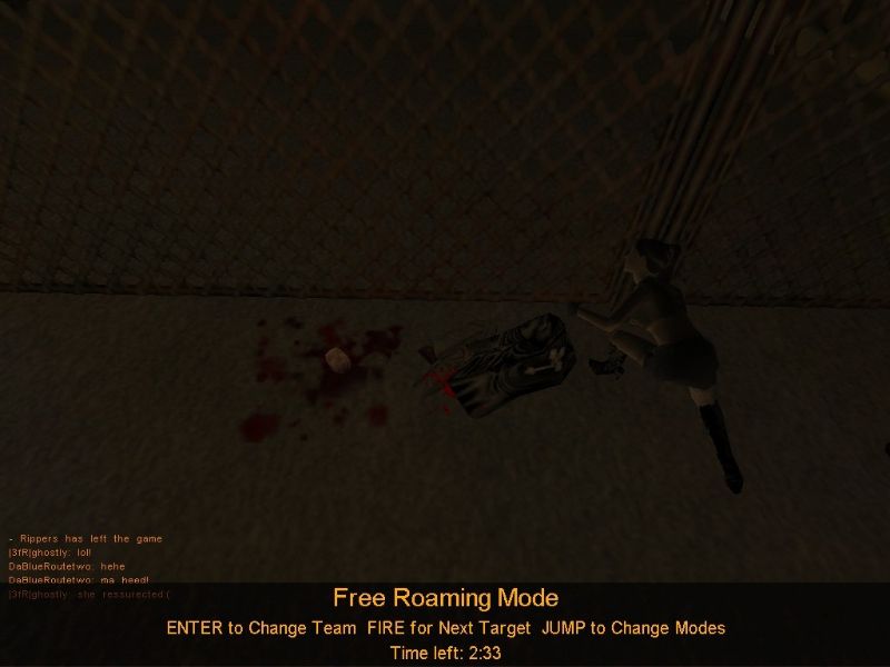 Half-Life: Vampire Slayer - screenshot 2