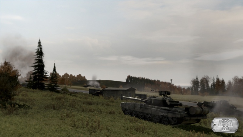 Arma 2: Free - screenshot 5