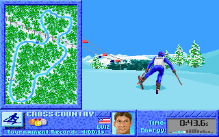 The Games: Winter Challenge - screenshot 8