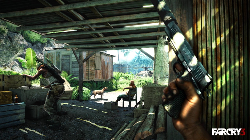 Far Cry 3 - screenshot 43