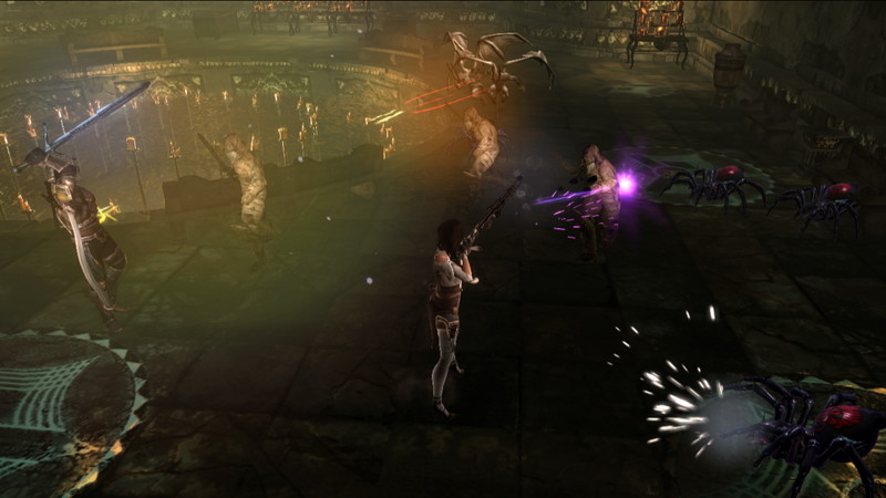 Dungeon Siege III: Treasures of the Sun - screenshot 1