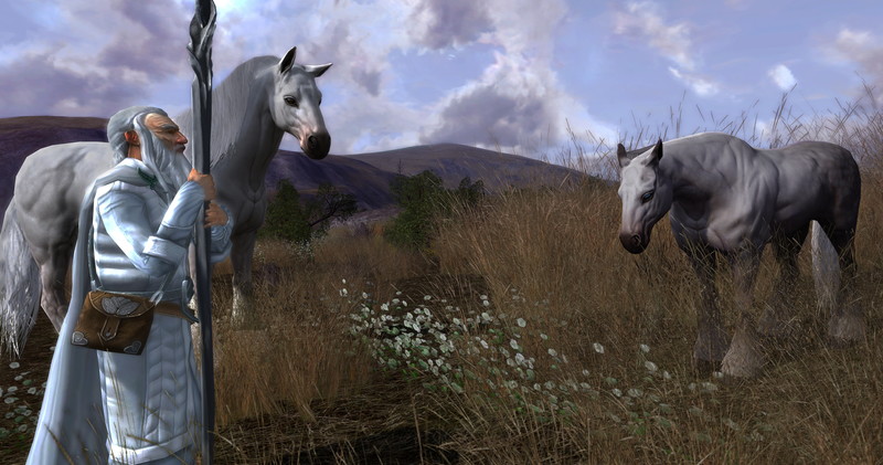 The Lord of the Rings Online: Riders of Rohan - screenshot 12