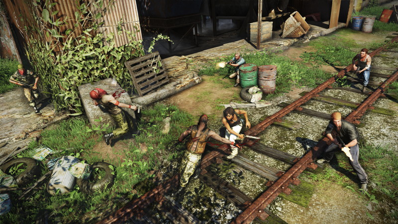 Far Cry 3 - screenshot 26