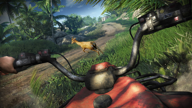 Far Cry 3 - screenshot 20