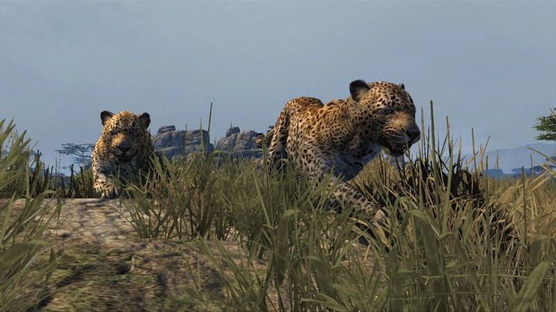 Cabela's Dangerous Hunts 2013 - screenshot 12