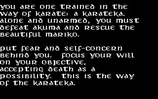Karateka (1986) - screenshot 2
