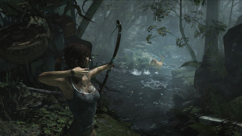 Tomb Raider - screenshot 16