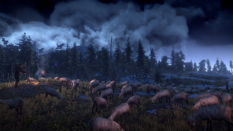The Witcher 3: Wild Hunt - screenshot 91