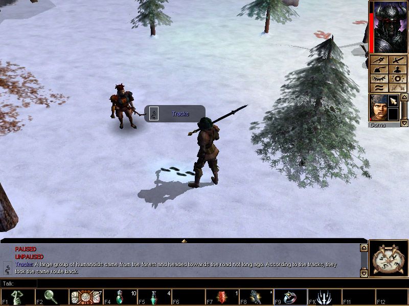 Neverwinter Nights: Shadows of Undrentide - screenshot 32