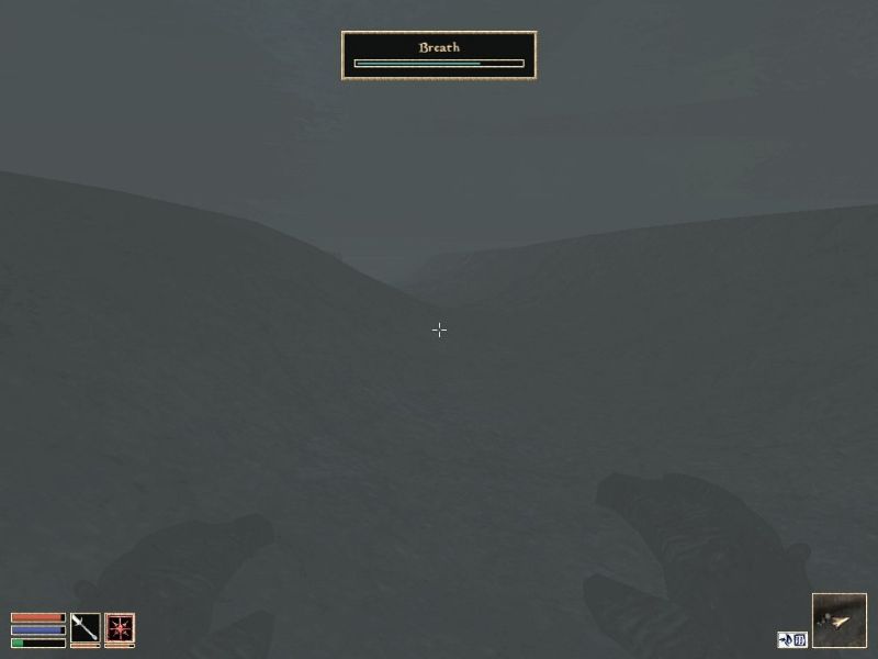 The Elder Scrolls 3: Morrowind - Collector's Edition - screenshot 14