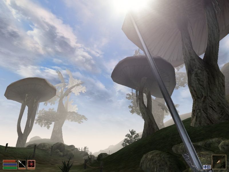 The Elder Scrolls 3: Morrowind - Collector's Edition - screenshot 8